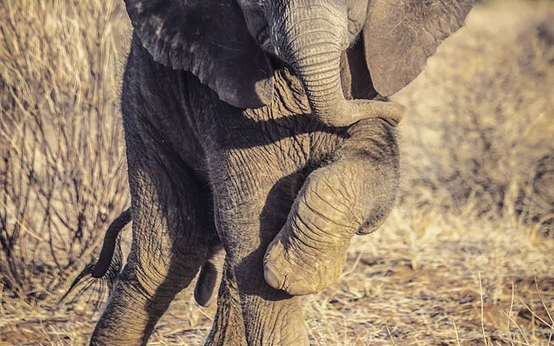 Dental nurse wanted for the opportunity of a lifetime!